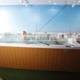 Acrylic Outdoor Spa Hot Tub Freestanding Swim Spa Pool CE Approved Large Swim Pool With Massage Function thumbnail-2