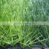 Fake Grass Turf FIFA 2 Stars Garden Factory Artificial Grass Lawn thumbnail-3