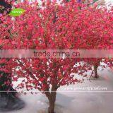 BLS1093 1 GNW Wedding Cherry Tree