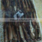 Under 150g Frozen Illex Squid for Sale thumbnail-1