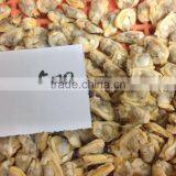 Export Class Quality Frozen Baby Clam Meat thumbnail-3