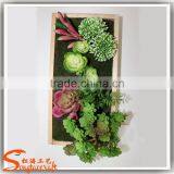 Famous Designer in China Wholesale Dry Vertical Garden Green Wall thumbnail-3