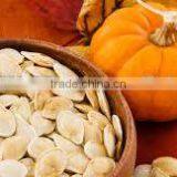 Pumpkin Seeds thumbnail-3