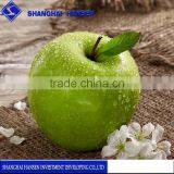 Import Agent of Green Apples China Trade Agent