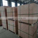 SHIPULE 2017 Automatic Macaroni Making Machine Noodle Making Machine Italian Pasta Machine thumbnail-5