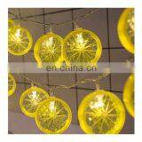 Decorative Led Waterproof Holiday Curtain Strip Summer Lemon Lights Garden Home Indoor Outdoor Decoration Fairy Light