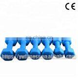 China Factory Price Colorful Fitness Accessories Dumbbell for Sale thumbnail-6