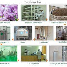 Factory Supply Natural Eugenol Oil Clove Oil Plant Essential Oil thumbnail-3