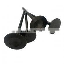 High Quality Intake Exhaust Valve LR041678 LR054852 In Stock for Land Car 3.0L V6 Discovery thumbnail-4