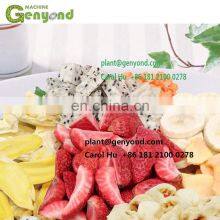 5 Square Meters Small Fruit Continuous Vacuum Freeze Dryer thumbnail-5