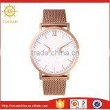 Most Popular Simple New Design Fashion Girls Mesh Watch With Ronda Movt