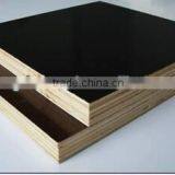 Two Times Hot Press Combi Core Black Film 18mm Concrete Formwork Plywood thumbnail-1