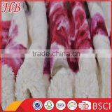 Super Soft Romantic Printed Flannel Fleece Blanket and Micromink Fleece Blanket thumbnail-4