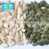 Pumpkin Seed and Kernel thumbnail-1