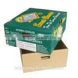 Fruit Packaging,A Great Variety of Models thumbnail-5