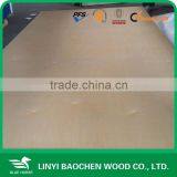 4'*8' Russia Birch Plywood For Furniture thumbnail-1