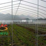 Single Span Vegetable Greenhouse Without Gutter thumbnail-2