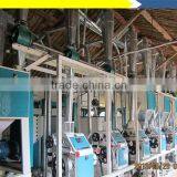 300 TPD Cassava Flour Mill in Ivory Coast