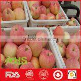 High Quality And Inexpensive Fresh Fuji Apples thumbnail-5