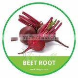 HIGH QUALITY FRESH BEET ROOT thumbnail-1