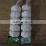 China Fresh Natural White Garlic thumbnail-2