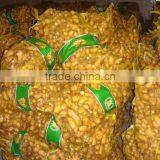 Wholesale Hot Sale Common Cultivation Type Fresh Ginger thumbnail-6