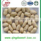 Delicious Taste Blanched and Split Peanut Kernel With High Quality thumbnail-2