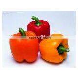 150-200g Good Quality Fresh Yellow Pepper thumbnail-1