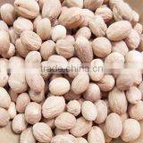 High Quanlity Myristica Fragrans thumbnail-1