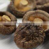 Factory Direct Sale Export Mushroom Price Dried Shitake