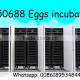 50000pcs chicken egg incubator