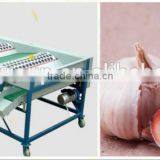 Garlic /Vegetable and Fruit Cleaning and Grading/Sorting Machine thumbnail-4