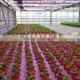 MarsHydro 60cm,120cm Led Grow Bar ETL,CE,RoHS Certification Grow Light Bar Strip Full Spectrum thumbnail-6