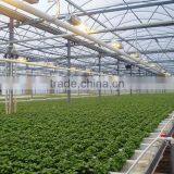 Multi Span Greenhouse Agricultural Vegetable Greenhouse thumbnail-2