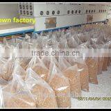 Dried Mealworms For Insect Protein Material thumbnail-3