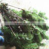 Home Garden Edging Decorative 7.5ft Height 700 Pcs of Pine Tips Artificial Green Plastic LED Lights Christmas Trees ESDS11 1707 thumbnail-3
