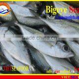 FROZEN BIGEYE SCAD WHOLE ROUND thumbnail-4
