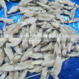2013 Baby Squid (puntilla Calamar) thumbnail-1