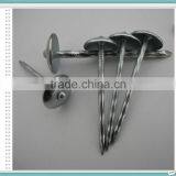 China Steel Roofing Nail thumbnail-4