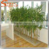 China Supplier New Product Bamboo Price Plastic Lucky Bamboo Plants for Sale thumbnail-3