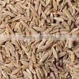 Cumin Seeds thumbnail-3