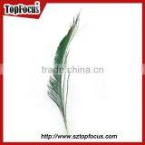 Wedding Dresses Decoration Indian Wholesale Natural Peacock Feather thumbnail-6