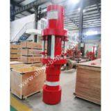 Side Door Stripper/Side-Outlet Stuffing Box thumbnail-1