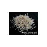 Dehydrated Balloonflower thumbnail-1