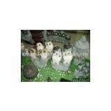 Night Owl Carving (animal Sculpture,granite Carving) thumbnail-1