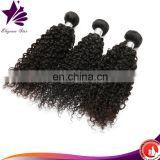 wholesale indian hair in india, top quality indian temple hair kinky curly, 100% natural indian human hair price list