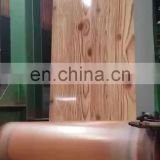 PPGI/wooden design from Saudi Arabia customers