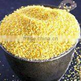 Yellow Millet thumbnail-1