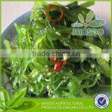 Hiyashi Wakame and Frozen Chuka Salad thumbnail-1