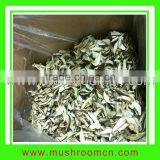 Shitake Mushroom Dry Slice thumbnail-1